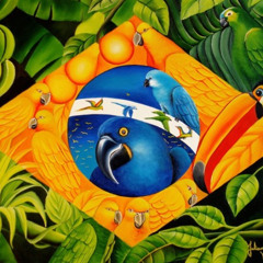 BRASIL REMIXES NACIONAIS BY DJ BELLOCCHI