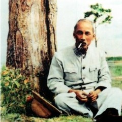 shade of the mango tree
