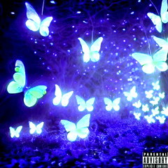 Search & Destroy (prod. plezi)