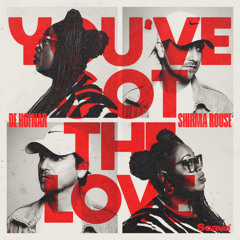 De Hofnar & Shirma Rouse - You've Got The Love