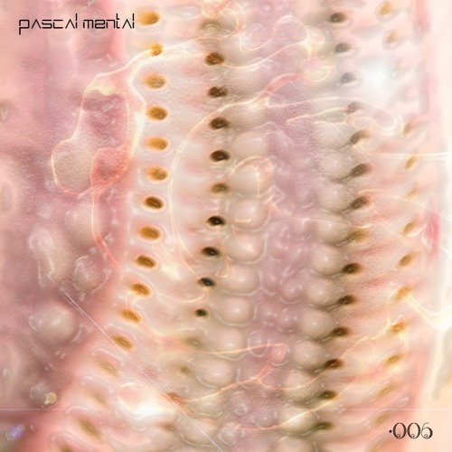 Fluids 006 - Pascal Mental