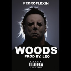 Woods - (prod by. Leo)