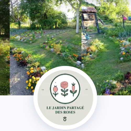 Découvrez le jardin partagé des Roses de Colmar , lieu d'apaisement pour femmes en post-traitement de cancer