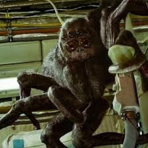 es imposible conectar....m4a