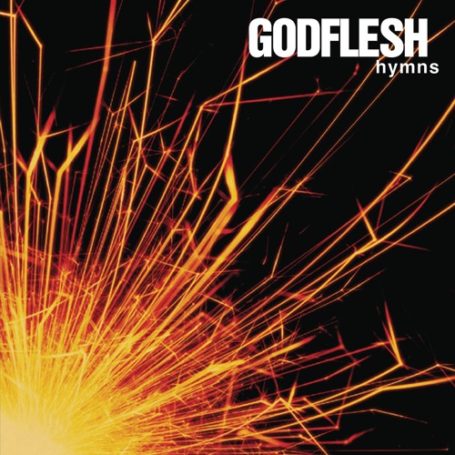 【中古】 Godflesh / In All Languages 250px-In_All_Languages_cover.jpg