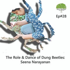The Role And Dance Of Dung Beetles: Seena Narayanan  Ep #28