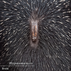 Bristle