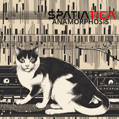 Anamorphosis (Original Mix)