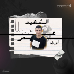 شاب أعزل ينتزع سلاح جندي وينفذ عملية