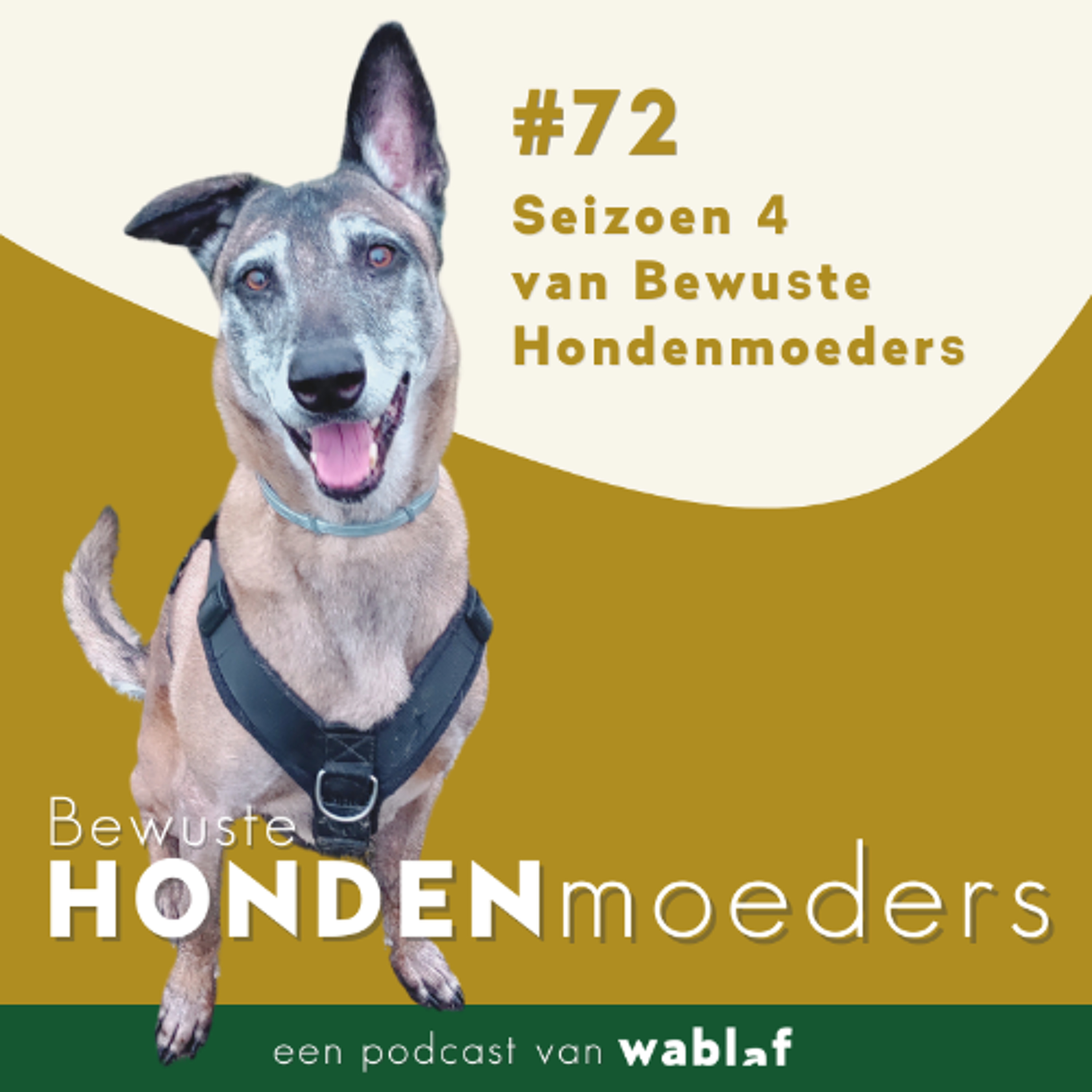 Bewuste Hondenmoeders