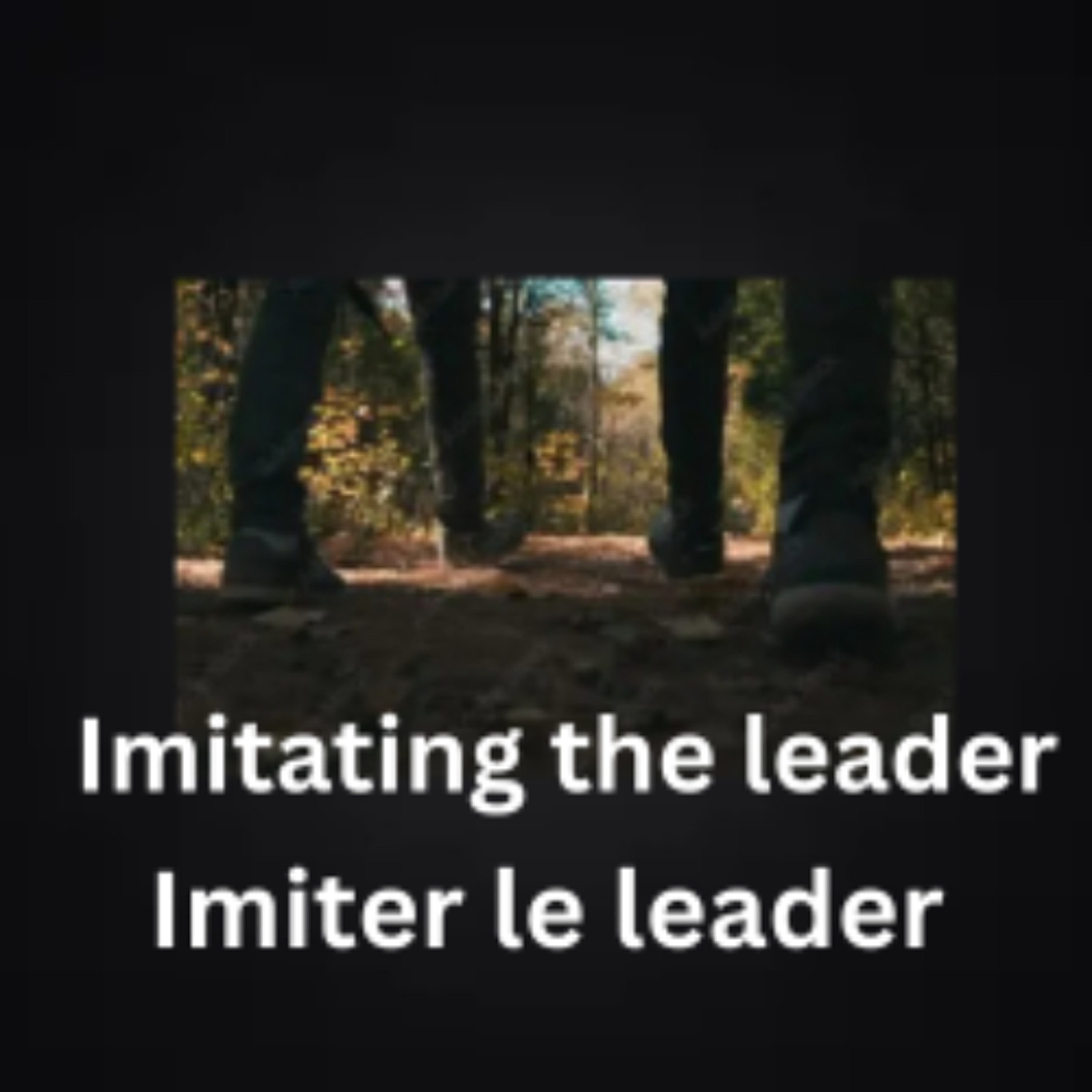Imitating the leader - Second session (Henriette Mbarga) 309
