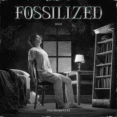 DNIE - Fossilized (Instrumental)