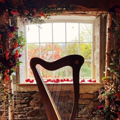 Can't Help Falling In Love - Elvis