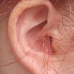 HK_Superdance_tracks_160