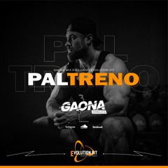 PAL TRENO - GAONA by Evolution Fit
