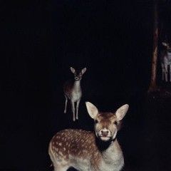 throwaway (feat. healer & chace)