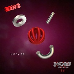 SAM S _ DISHY _ ZNGBRDGTL036