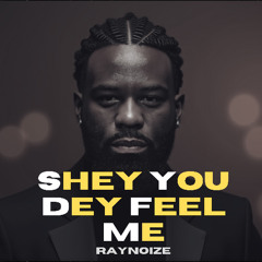 SHEY YOU DEY FEEL ME