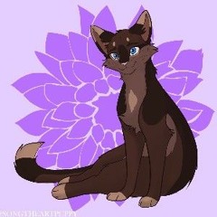warrior cats