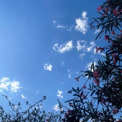 bright skies!