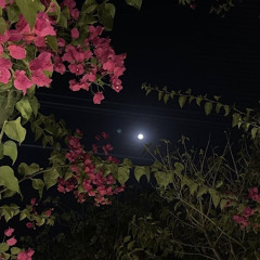 مـع انّـا قـد تفـارقنـا )؛