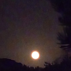 Les Etoiles Sur Toi