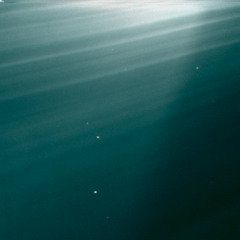 (or swim)