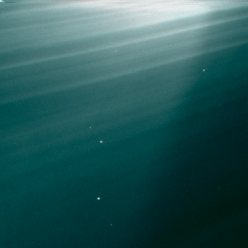 (or swim)