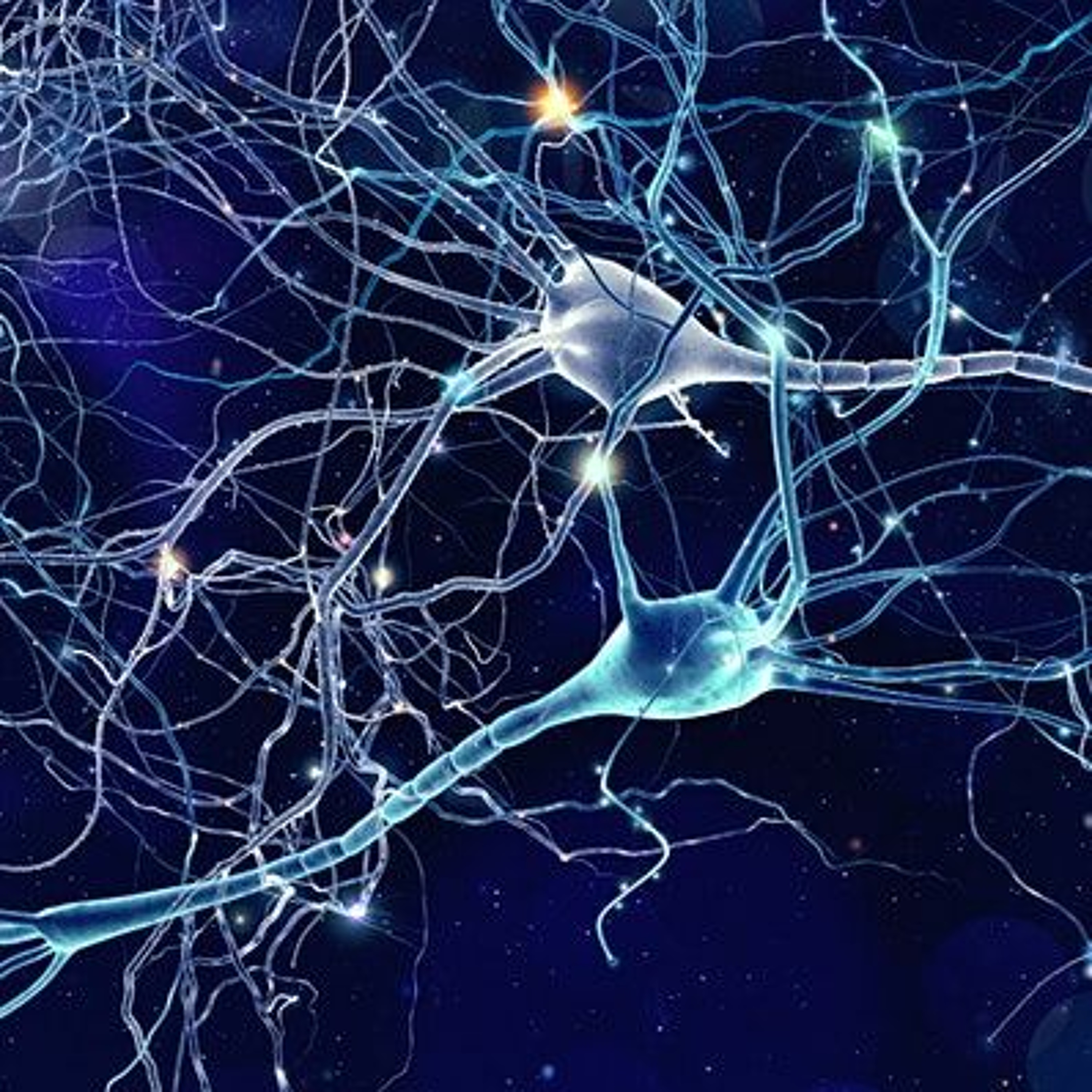The Compatibility of Neuroscience and the Soul | Prof. James Madden