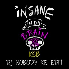 KSB - Insane In Da Brain (Cover Cypress Hill Dj Nobody Re 2023 Edit)