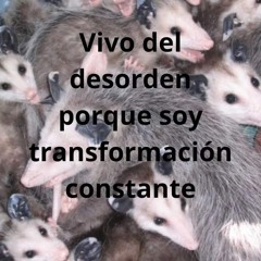 lecciones