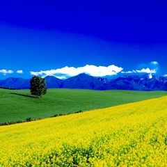 Enliven
