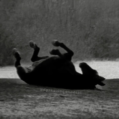 тёмный принц - Instrumental (MILINTANTUM)