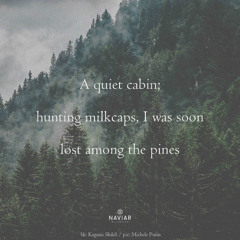 pinus-mycelia [ naviarhaiku624 ]