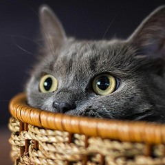 Red Lips (Original Mix)