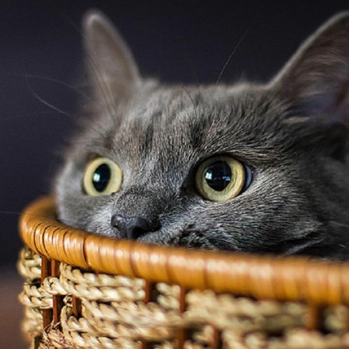 Red Lips (Original Mix)