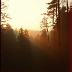 В каждом есть добро