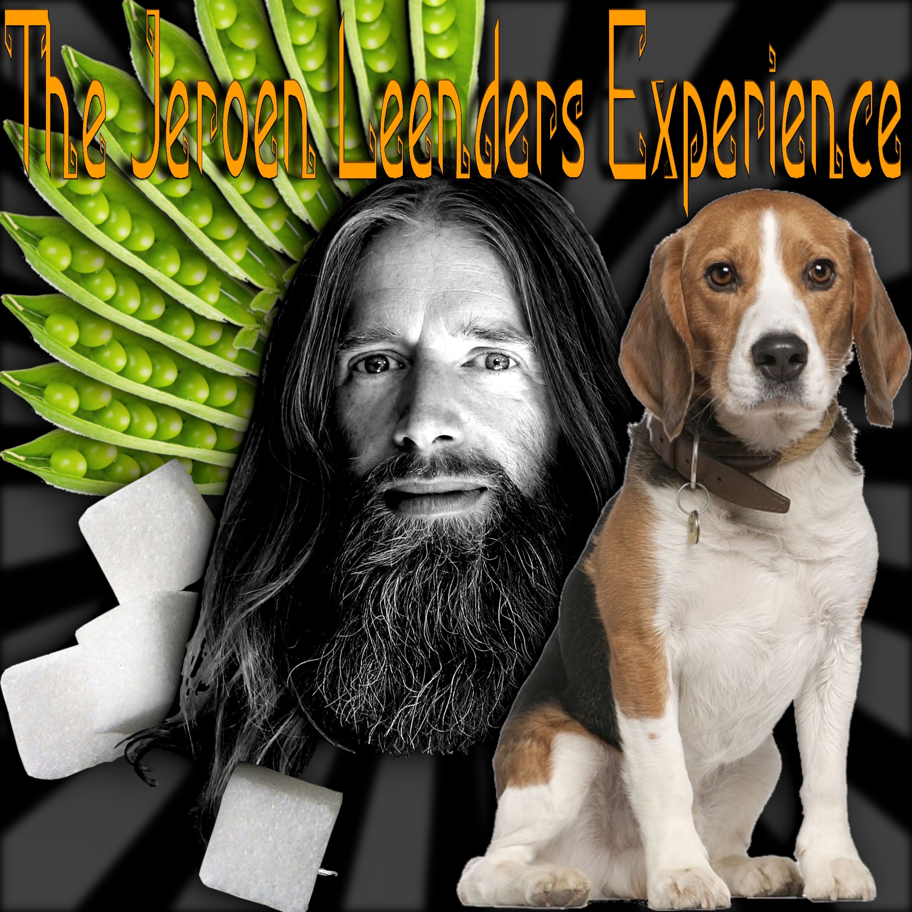 Jeroen Leenders Experience