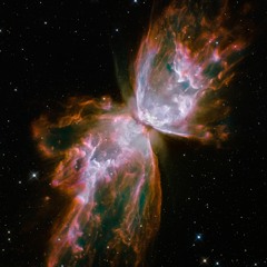 Butterfly Nebula