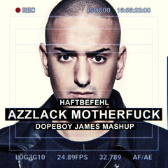Haftbefehl - Azzlack Motherfuck (Champion X Bushbaby Mashup)