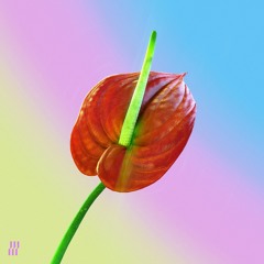 PREMIERE: Ineffekt - Two-Tiered [Intercept]