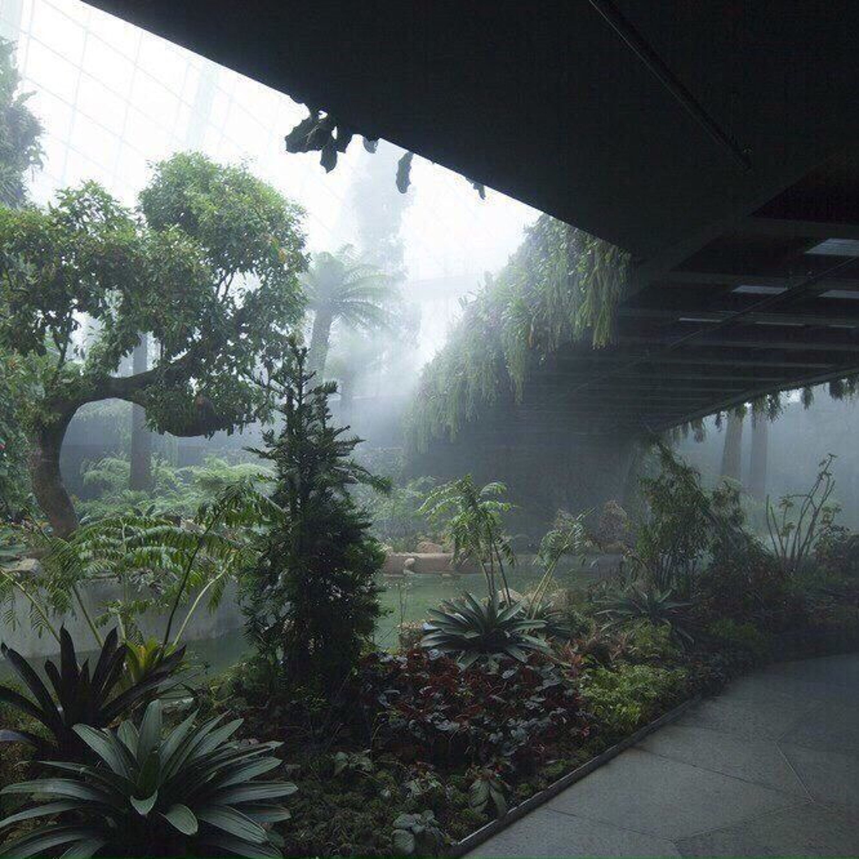 Cover-Artwork zu garden
