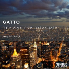 Gatto - 3Bridge Exclusive Mix - August 2022
