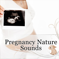 Pregnancy Nature Sounds – Music for Pregnancy and Childbirth, Relaxing Soothing Instrumental Pieces, Time to Relax, Natural Stress Relief, Sensual Massage for Women, Womb