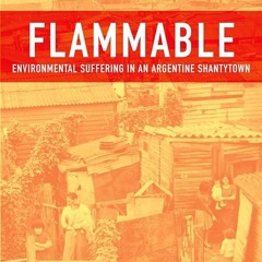 PDF✔read❤online Flammable: Environmental Suffering in an Argentine Shantytown