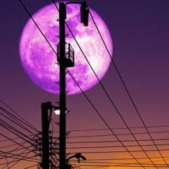 LUNA XXIV