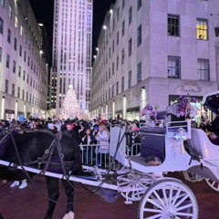 Review Special Price New York City Christmas Lights Private Horse Carriage Ride