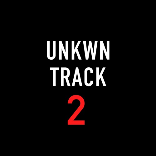 UNKWN TRACK 2