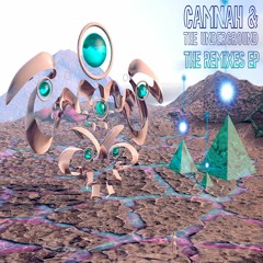 Camnah & E-Knocks - Vibe City (Smol Remix)