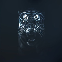 Bandi&Bagi - Тігери